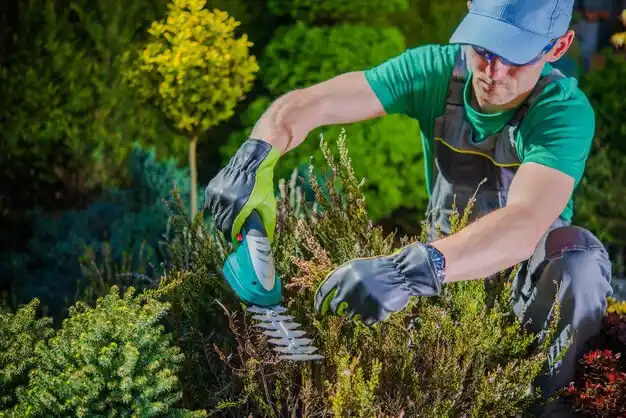 landscaping services Estelle